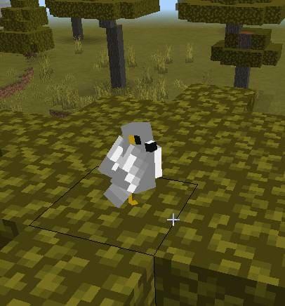 Голубь на траве