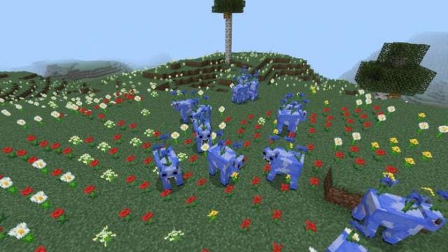 Коровы с васильками