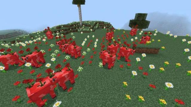 Коровы с маками