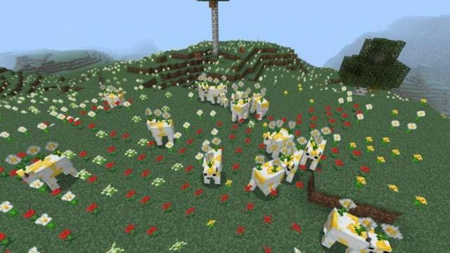 Коровы с ромашками