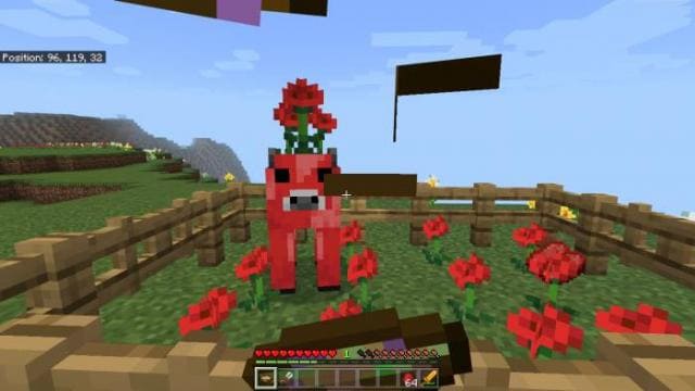 Поедание миски с едой