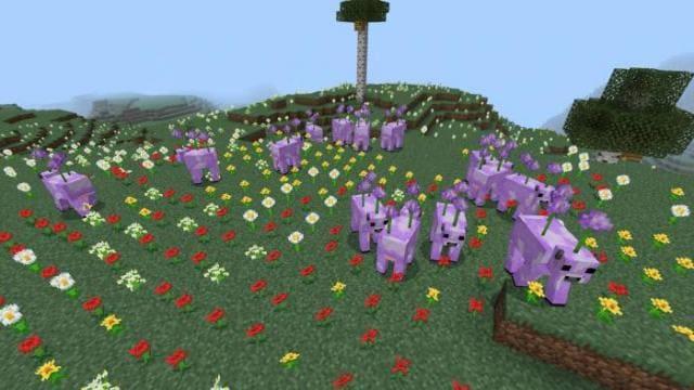 Коровы с луком