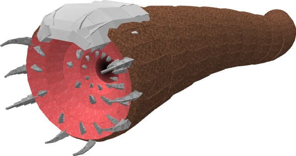 Песчаный червь