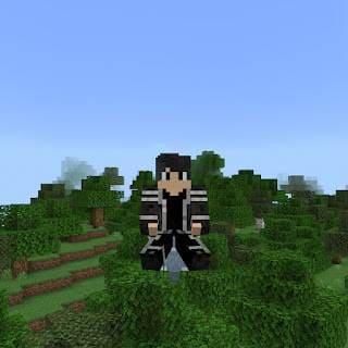 Досаждатель