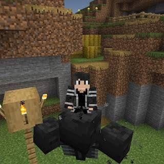 Иссушитель