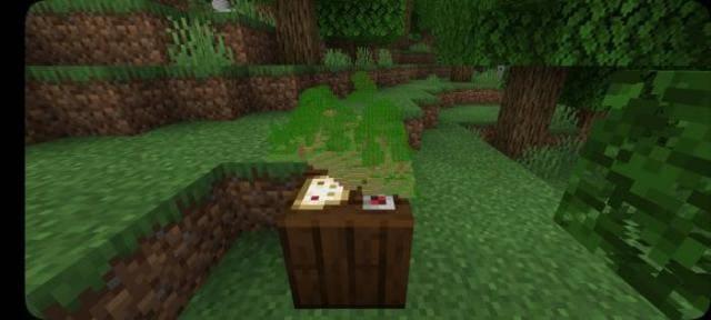 Объемная карта на столе