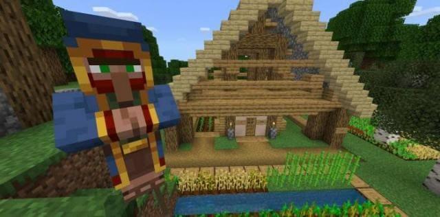 Странствующий торговец в деревне