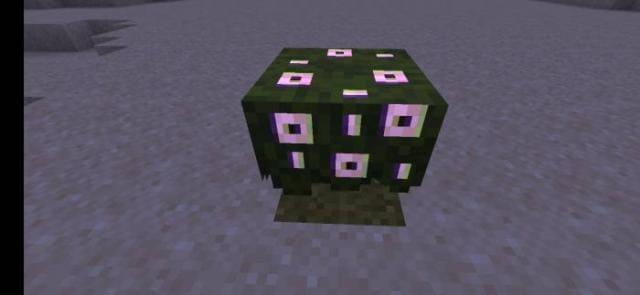 Светящаяся азалия