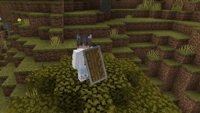 Игрок с щитом