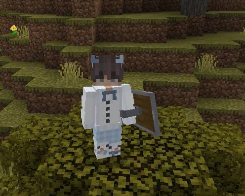 Блокирование щитом