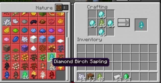 Крафт саженца алмазной березы