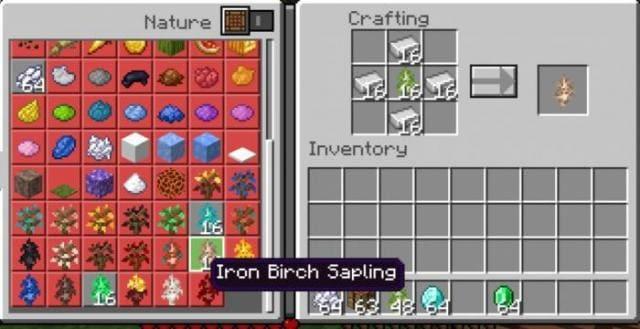 Крафт саженца железной березы