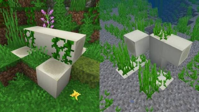 Маленькие окаменелости