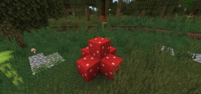 Красный грибной куст