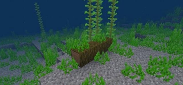 Упавшее бревно джунглей