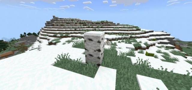 Березовый пень