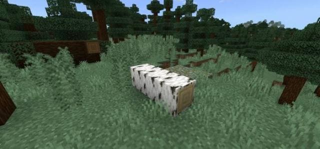 Упавшее березовое бревно