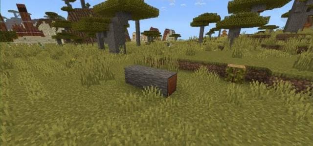 Упавшее бревно акации