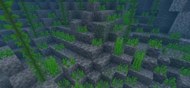 Участки мертвых кораллов