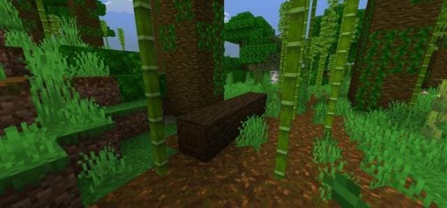 Упавшее бревно темного дуба