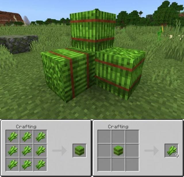 Стог сахарного тростника