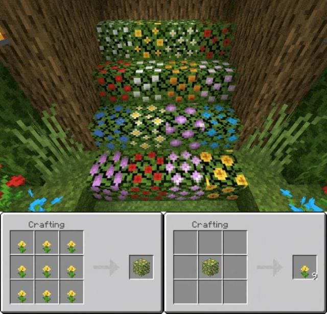 Кусты цветов