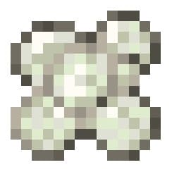 Яйца божьей коровки