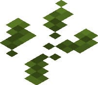 Упавшие листья