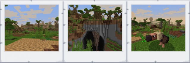 Биом саванны