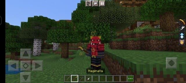 Нагината в руке