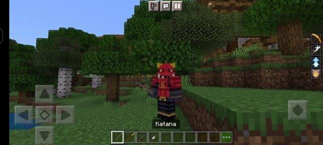 Катана в руке