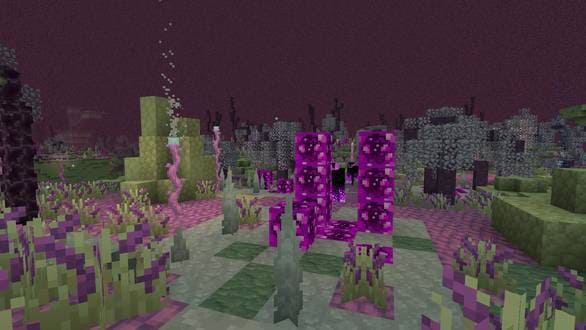 Вельветовое расширение