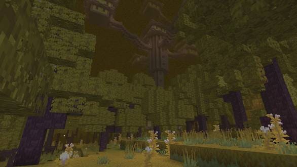 Леса хоруса