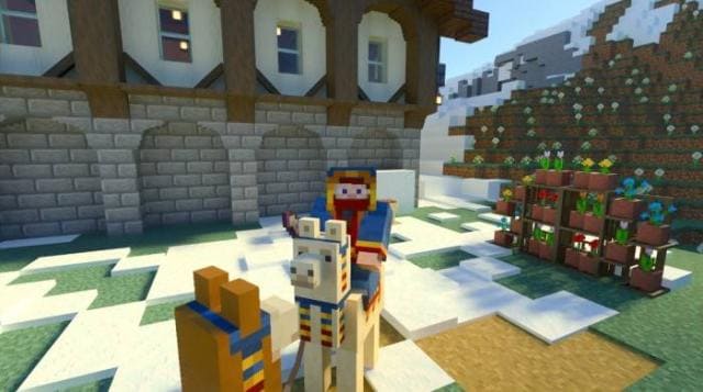 Игрок на ламе