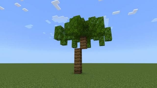 Пальма на равнине