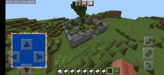 Кладбище в лесу