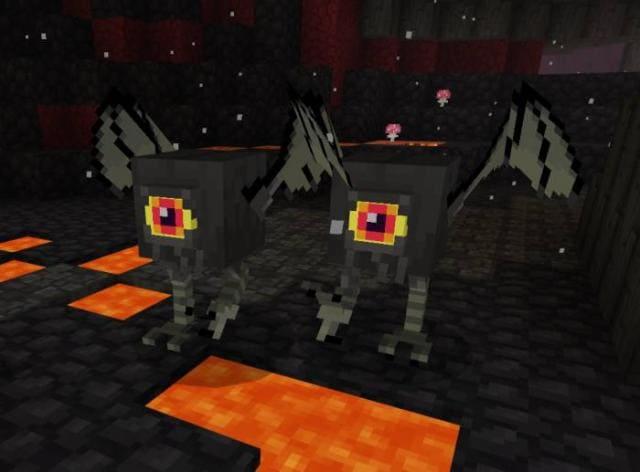 Одноглазые летучие мыши