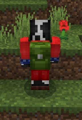 Зеленая сумка