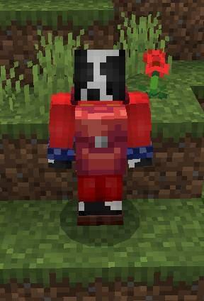 Красная сумка