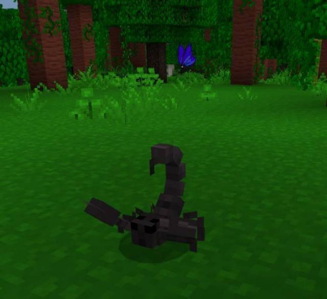 Скорпион пытается быть страшным