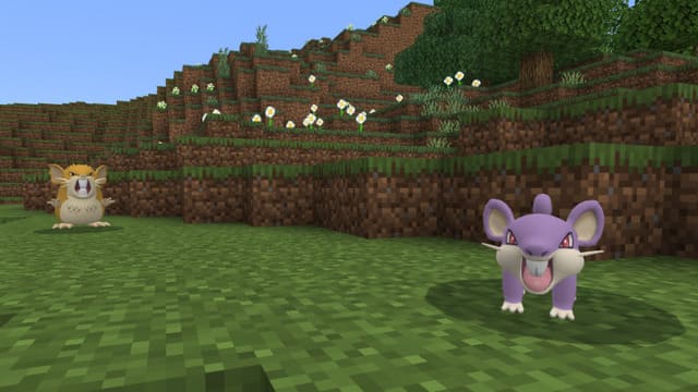 Эволюция Раттата