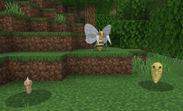 Эволюция видла