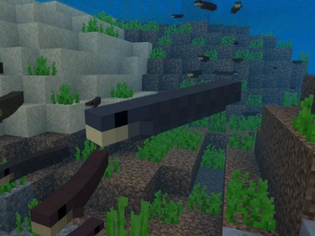 Электрический угорь