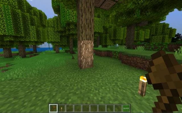 Гевея бразильская в игре