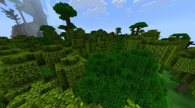 Гевея бразильская