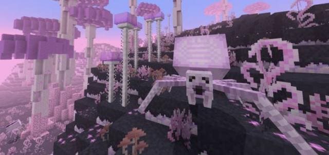 Манчпуг в Минисе