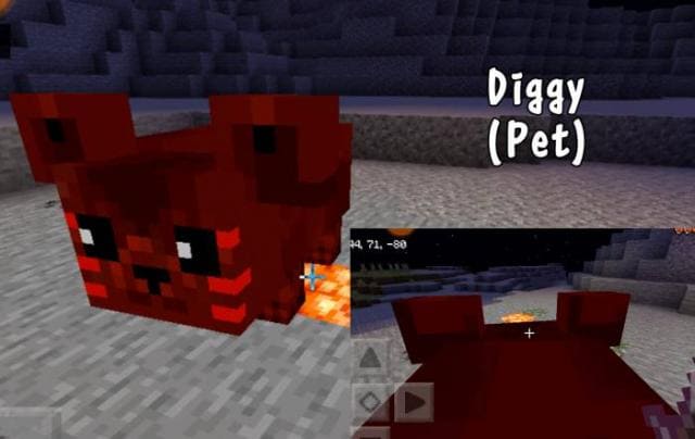 Дигги (питомец)