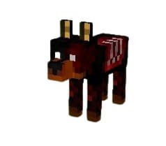 Зомби-собака