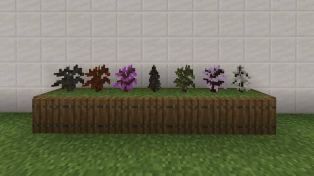 Саженцы деревьев