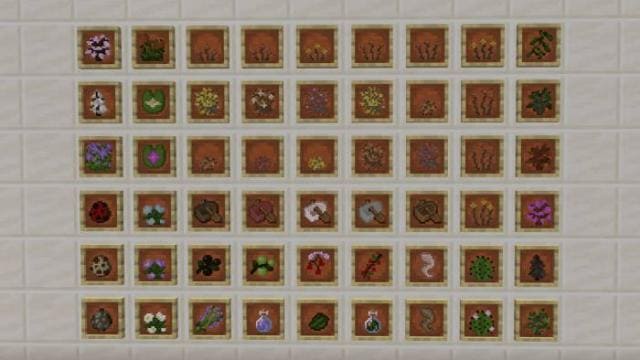 Все элементы дополнения в рамке